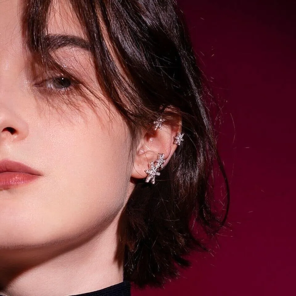 🎁Snowflake earrings
